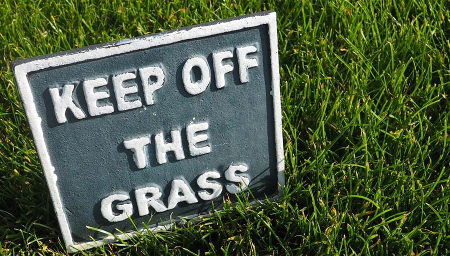 Picture of a keep off the grass sign