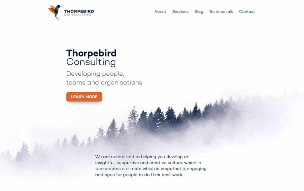 Thorpebird Consulting